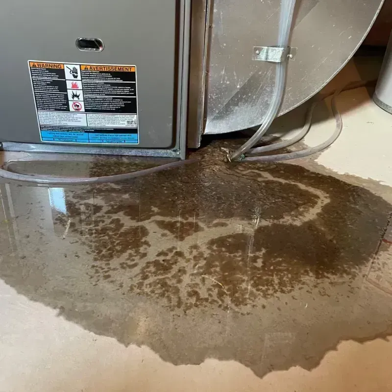 Appliance Leak Cleanup in Lawrenceburg, KY